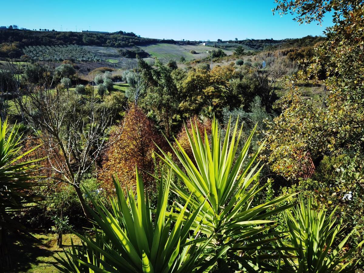 Quinta Do Vale Encantado "The Valley" - Santarem - Portugal Calhariz Buitenkant foto