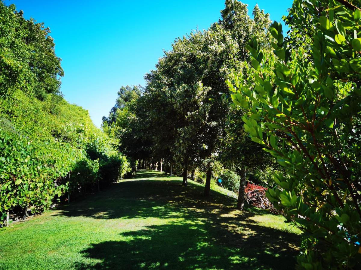 Quinta Do Vale Encantado "The Valley" - Santarem - Portugal Calhariz Buitenkant foto