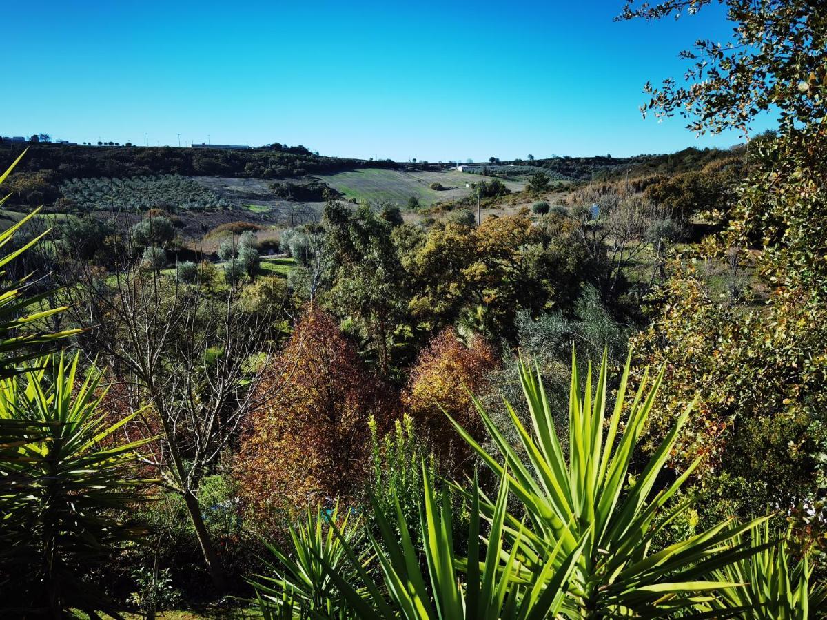 Quinta Do Vale Encantado "The Valley" - Santarem - Portugal Calhariz Buitenkant foto