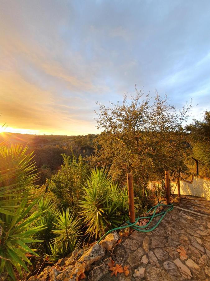 Quinta Do Vale Encantado "The Valley" - Santarem - Portugal Calhariz Buitenkant foto